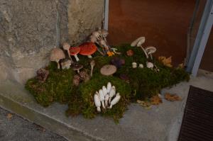 Kljub slabi gobarski sezoni lepa bera gob na razstavi 5